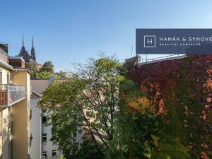 Pronájem bytu 1+1, Brno, Anenská, 25 m2