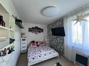 Prodej bytu 3+1, Brno, 62 m2