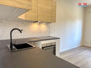 Pronájem bytu 2+kk, Nymburk, Dlouhá třída, 55 m2