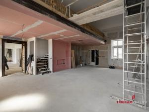 Pronájem restaurace, Hradec Králové - Plotiště nad Labem, Petra Jilemnického, 244 m2