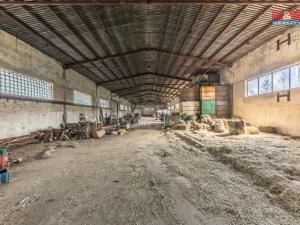 Prodej zemědělského objektu, Benešov nad Ploučnicí, Wolkerova, 920 m2