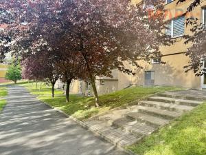 Pronájem bytu 1+kk, Most, Česká, 33 m2