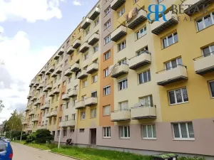 Pronájem bytu 2+1, Brno, Jílová, 67 m2