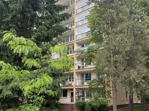 Prodej bytu 2+kk, Praha - Střížkov, K lipám, 42 m2