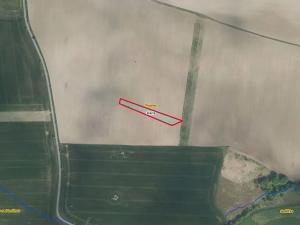 Prodej pole, Trusnov, 2975 m2