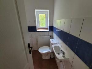 Prodej rodinného domu, Červená Voda, 265 m2
