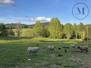Prodej ubytování, Nová Pec, 310 m2