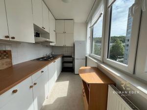 Pronájem bytu 1+kk, Praha - Karlín, Nekvasilova, 28 m2