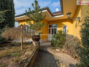 Prodej komerční nemovitosti, Mladá Boleslav, Viničná, 456 m2