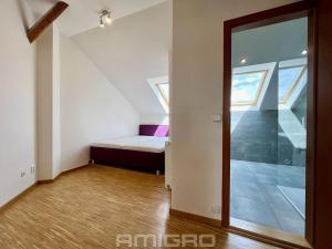 Pronájem bytu 2+kk, Brno, Obilní trh, 51 m2