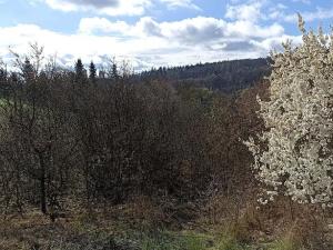Prodej pozemku pro bydlení, Rosice, 1043 m2