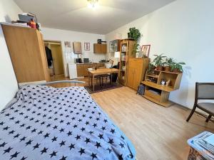 Pronájem bytu 1+kk, Praha - Libeň, Braunerova, 30 m2