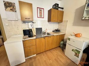 Pronájem bytu 1+kk, Praha - Libeň, Braunerova, 30 m2
