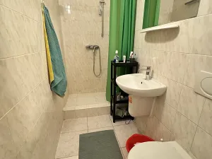 Pronájem bytu 1+kk, Praha - Libeň, Braunerova, 30 m2