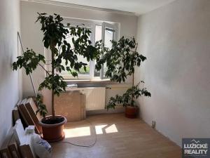 Prodej bytu 3+1, Nový Bor, Alšova, 60 m2