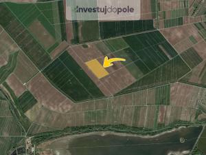 Prodej pole, Lednice, 2954 m2