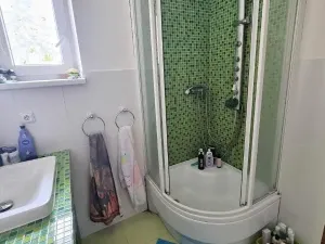 Prodej vícegeneračního domu, Jihlava, Fibichova, 300 m2
