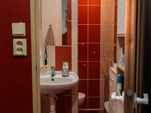 Pronájem bytu 2+1, Kojetín, Jana Peštuky, 43 m2