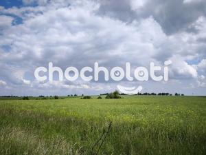 Prodej rodinného domu, Rozhovice, 116 m2