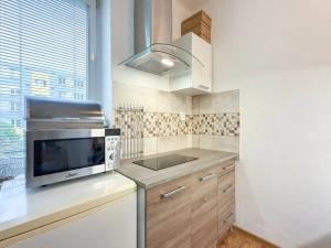Pronájem bytu 1+kk, Ústí nad Labem, Dukelských hrdinů, 22 m2