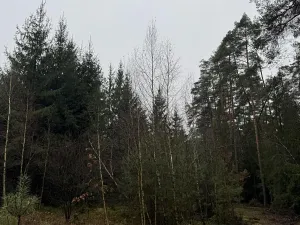 Prodej pozemku, Veliny, 16991 m2