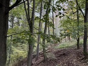 Prodej podílu pozemku, Plaňany, 23569 m2