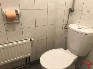 Pronájem bytu 3+kk, Pozlovice, 68 m2