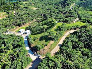 Prodej pozemku, Coxen Hole, Roatán, Honduras, 200 m2