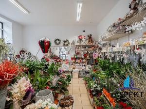 Pronájem obchodního prostoru, Praha - Bubeneč, Jugoslávských partyzánů, 87 m2
