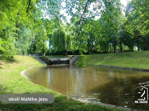 Prodej bytu 2+1, České Budějovice, L. M. Pařízka, 55 m2