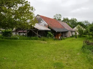 Prodej zemědělské usedlosti, Černíkovice, 80 m2