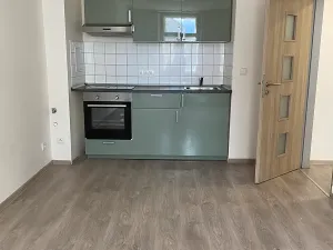 Pronájem bytu 2+kk, Brno, Křenová, 50 m2