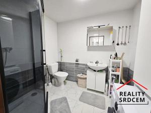 Pronájem bytu 1+kk, Skotnice, 29 m2