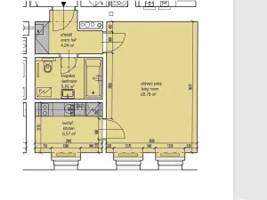 Pronájem bytu 1+kk, Praha - Vinohrady, Korunní, 39 m2