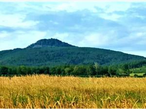 Prodej pozemku, Ralsko, 190159 m2