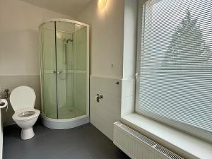 Pronájem bytu 1+1, Bílovec, 17. listopadu, 36 m2