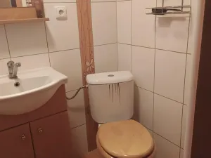 Prodej chaty, Bílovice nad Svitavou, 67 m2