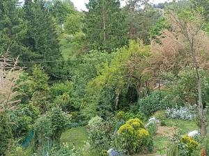 Prodej chaty, Bílovice nad Svitavou, 67 m2