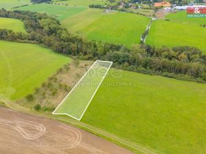 Prodej louky, Spálené Poříčí - Struhaře, 4161 m2
