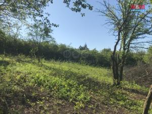 Prodej zahrady, Postoloprty - Mradice, 394 m2