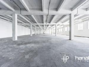Prodej skladu, Olomouc, U cukrovaru, 532 m2