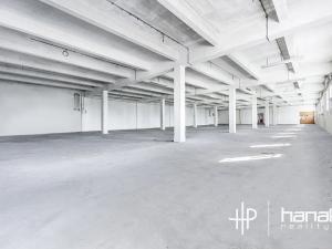 Prodej skladu, Olomouc, U cukrovaru, 532 m2