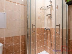 Pronájem bytu 1+kk, Karlovy Vary, nábřeží Jana Palacha, 20 m2
