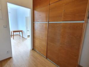 Pronájem bytu 1+1, Praha - Břevnov, Patočkova, 40 m2