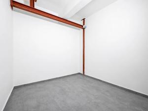 Pronájem bytu 4+kk, Praha - Vinohrady, Římská, 121 m2
