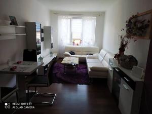Prodej bytu 3+1, Karlovy Vary, Vítězná, 66 m2