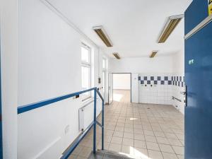 Prodej obchodního prostoru, České Budějovice, Opatovická, 250 m2