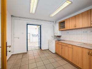 Prodej obchodního prostoru, České Budějovice, Opatovická, 250 m2