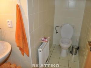 Pronájem atypického bytu, Brno, Ptašínského, 91 m2