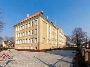 Pronájem bytu 1+kk, Ostrava, Palackého, 21 m2